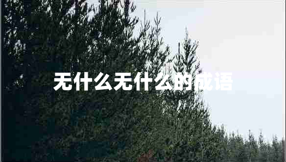 無什么無什么的成語