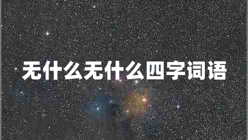 無什么無什么四字詞語