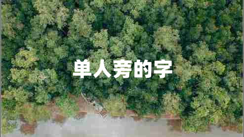 單人旁的字