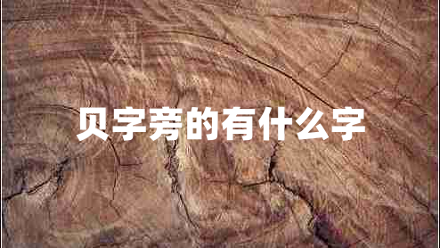 貝字旁的有什么字 貝字旁的有什么字