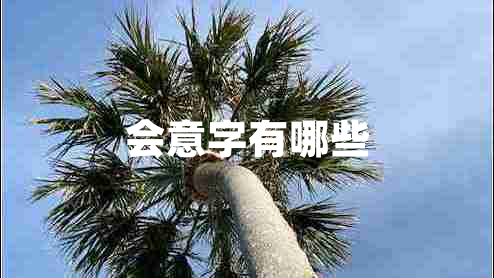 會意字有哪些