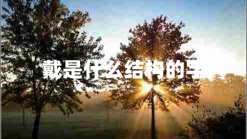 戴是什么結(jié)構(gòu)的字