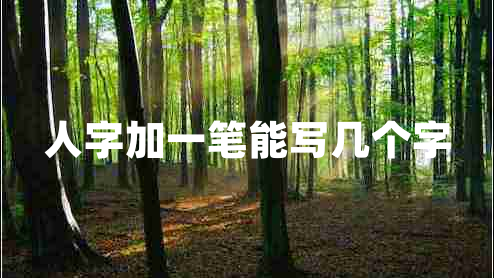 人字加一筆能寫幾個字