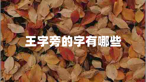 王字旁的字有哪些 王字旁的字有哪些