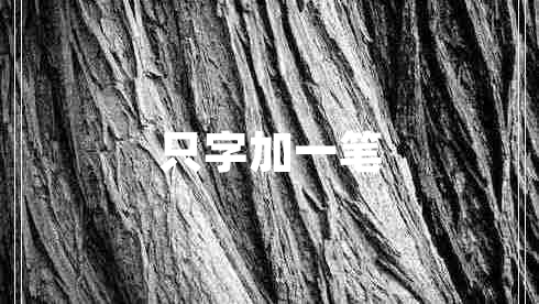 只字加一筆