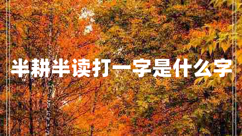 半耕半讀打一字是什么字 半耕半讀打一字是什么字