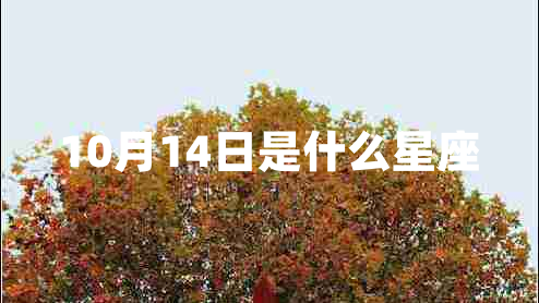 10月14日是什么星座
