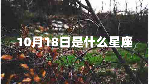 10月18日是什么星座 10月18日是什么星座