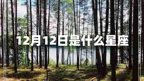 12月12日是什么星座 12月12日是什么星座