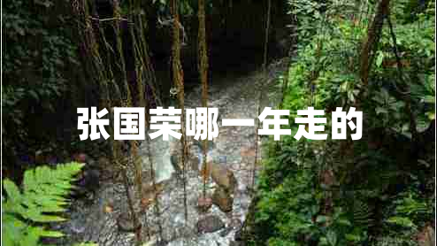 張國榮哪一年走的