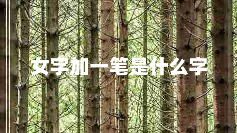 女字加一筆是什么字