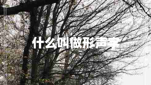 什么叫做形聲字