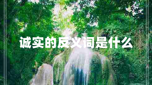 誠實(shí)的反義詞是什么