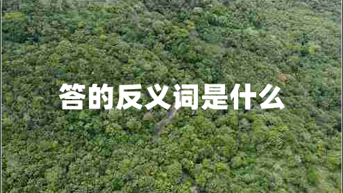 答的反義詞是什么