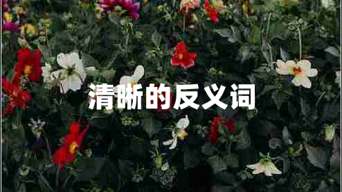 清晰的反義詞
