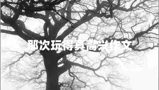 那次玩得真高興作文