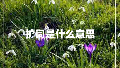 擴詞是什么意思