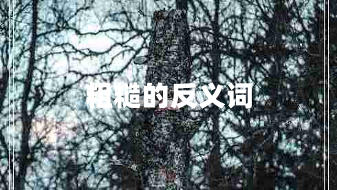 粗糙的反義詞 粗糙的反義詞