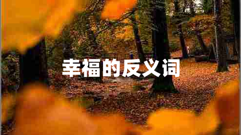 幸福的反義詞 幸福的反義詞