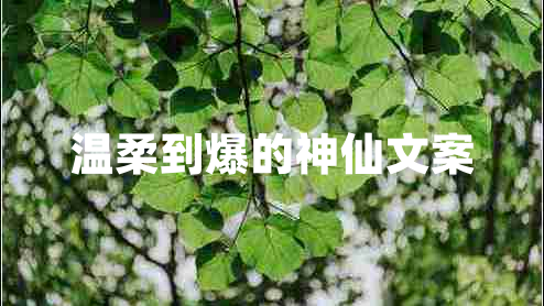 溫柔到爆的神仙文案 溫柔到爆的神仙文案