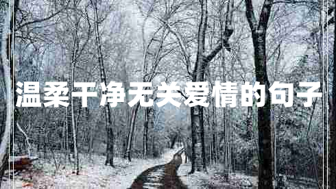 溫柔干凈無關愛情的句子