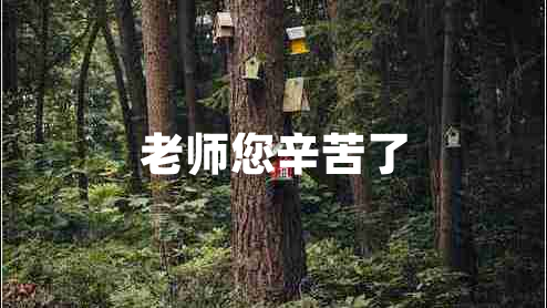 老師您辛苦了 老師您辛苦了
