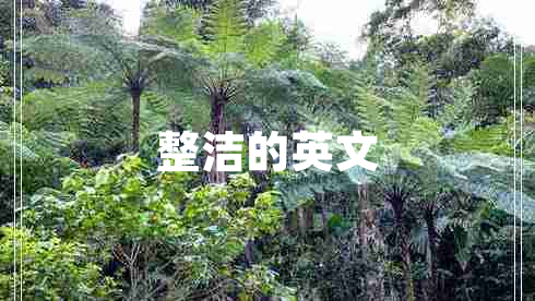 整潔的英文 整潔的英文