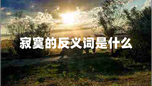 寂寞的反義詞是什么