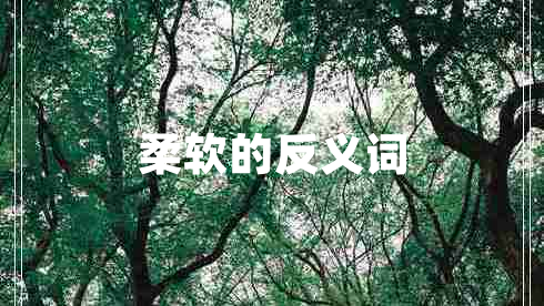 柔軟的反義詞