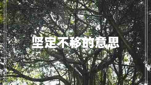 堅(jiān)定不移的意思