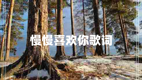 慢慢喜歡你歌詞 慢慢喜歡你歌詞