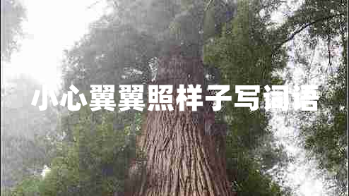 小心翼翼照樣子寫詞語 小心翼翼照樣子寫詞語