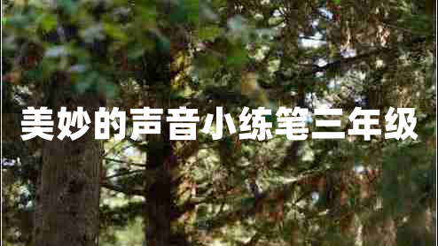 美妙的聲音小練筆三年級