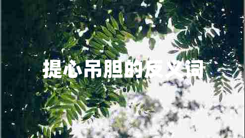 提心吊膽的反義詞