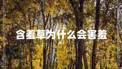 含羞草為什么會害羞