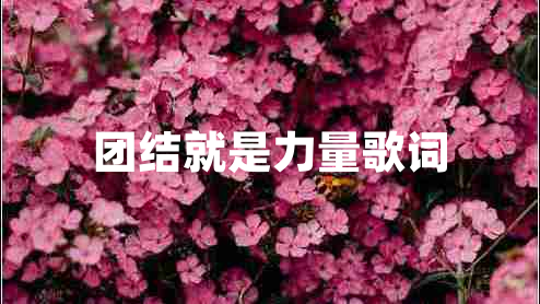 團結(jié)就是力量歌詞