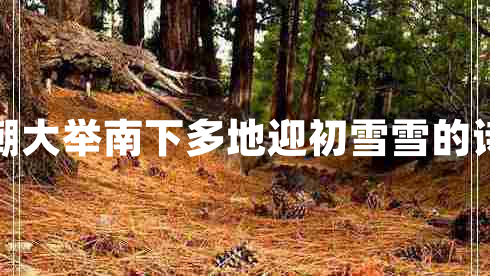 寒潮大舉南下多地迎初雪雪的詩句 寒潮大舉南下多地迎初雪雪的詩句