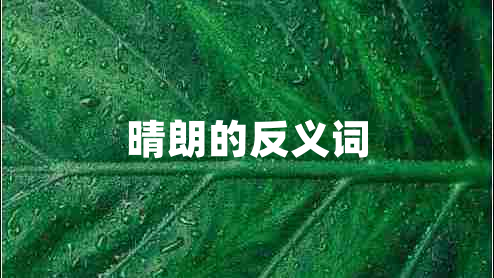 晴朗的反義詞