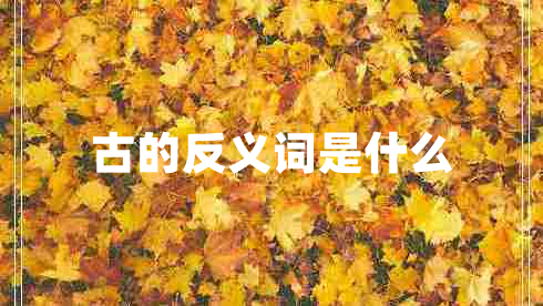 古的反義詞是什么