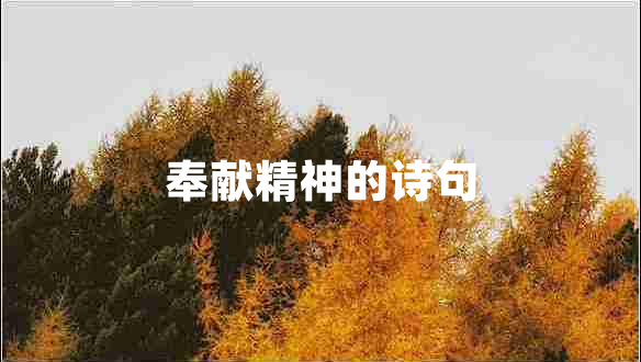 奉獻(xiàn)精神的詩句 奉獻(xiàn)精神的詩句