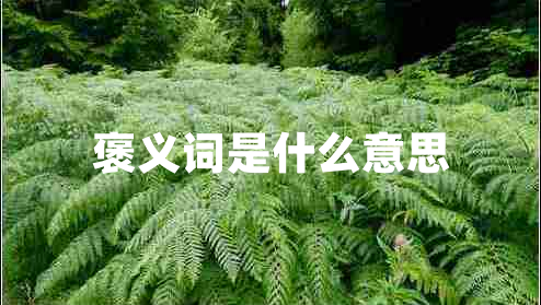 褒義詞是什么意思 褒義詞是什么意思