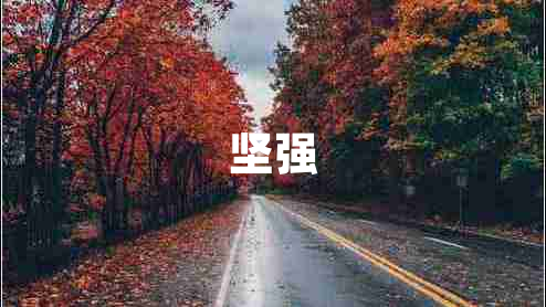 堅(jiān)強(qiáng) 堅(jiān)強(qiáng)