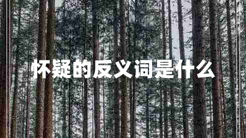 懷疑的反義詞是什么