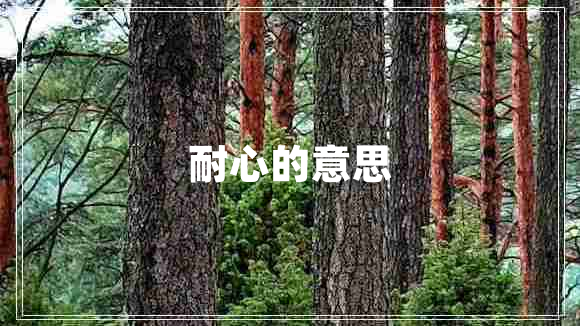 耐心的意思 耐心的意思