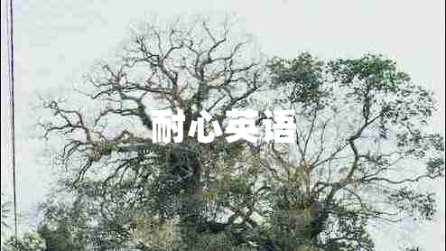 耐心英語(yǔ)