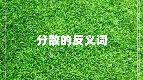 分散的反義詞