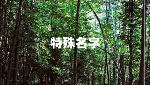 特殊名字 特殊名字