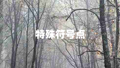 特殊符號(hào)點(diǎn) 特殊符號(hào)點(diǎn)