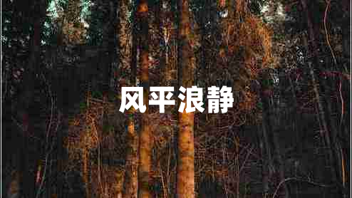 風(fēng)平浪靜
