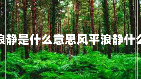 風(fēng)平浪靜是什么意思風(fēng)平浪靜什么意思